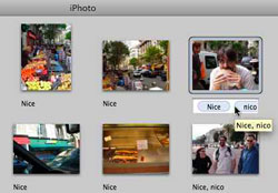 Keywords in iPhoto